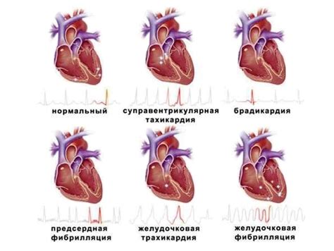 Проверка сердечного ритма и дыхания малыша