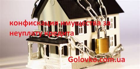 Процесс лишения учредителя имущества за неуплату налогов