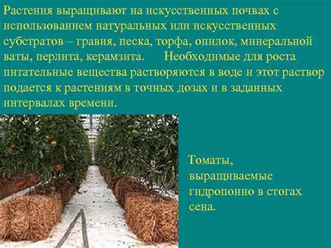 Регулирование pH в почвах с использованием минеральной добавки