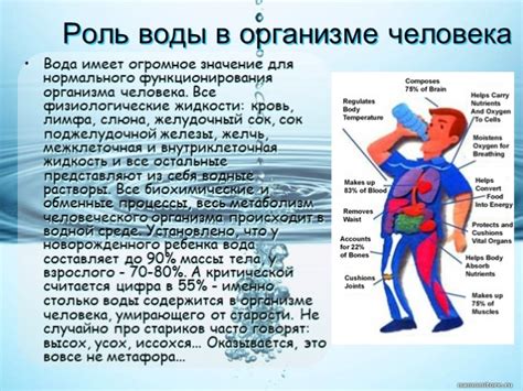 Роль воды и акта мытья в проявлении символики сновидения