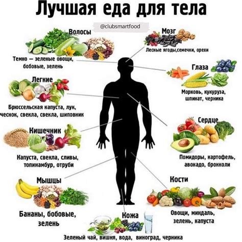 Роль в питании: полезное питание для организма
