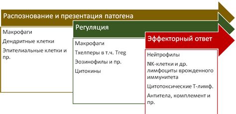 Роль иммунных и эндокринных нарушений в возникновении хронического воспаления полости рта у детей