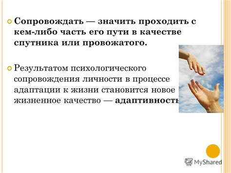 Роль и характеристики спутника в процессе сопровождения