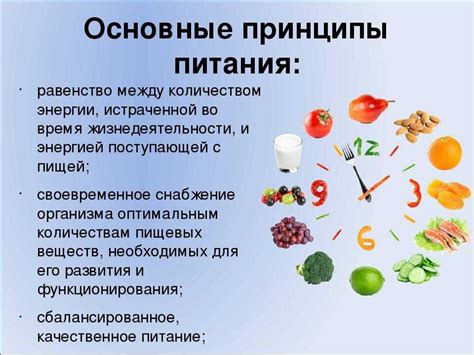 Роль питания в поддержании нормального веса