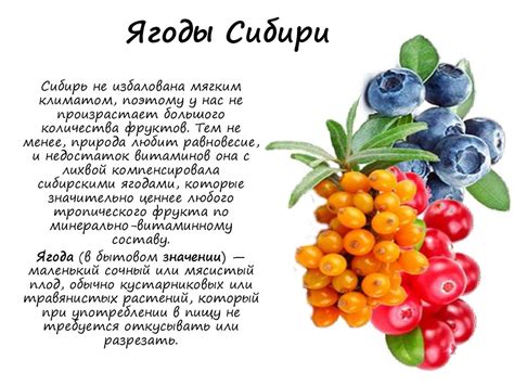Сибирские ягоды и орехи: вкусная и полезная закладка