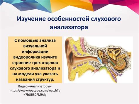 Соблюдайте индивидуальную гигиену органа слуха