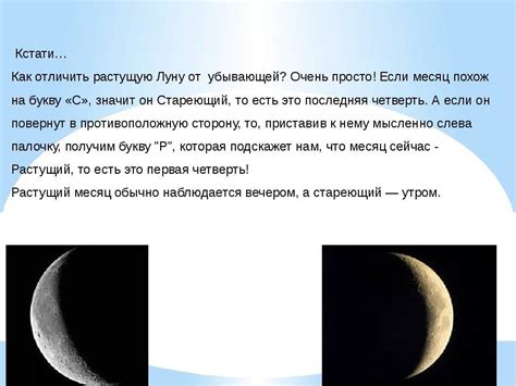 Сопоставление размера и формы месяца и полумесяца