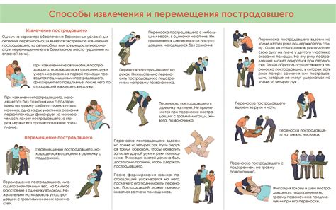 Способы оказания первой помощи при случайном проглатывании мокрой салфетки питомцем