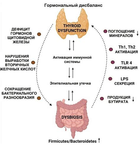 Стимуляция работы щитовидной железы и нормализация обмена веществ
