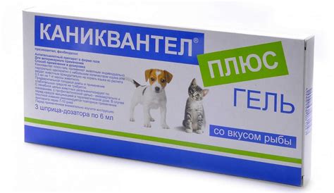 Схема лечения глистов у котят