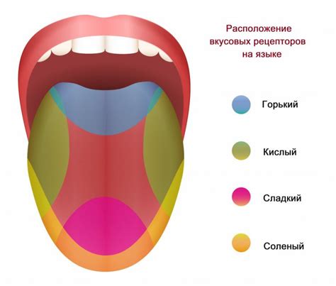 Таинственные ароматы: воздействие добавок на вкус и запах блюд с горохом