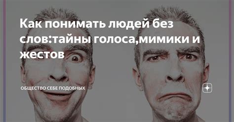 Тайны мимики: расшифровка сигналов, скрываемых глазами