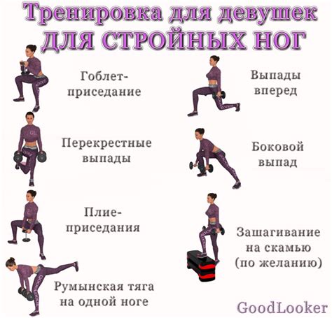 Тренировка ног: комплексные упражнения для достижения желаемых результатов