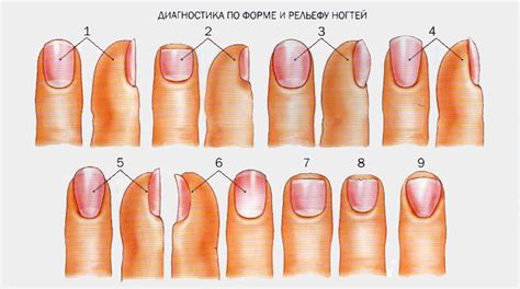 Тщательный осмотр рук и ногтей