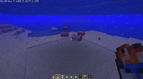 Увеличение поголовья рыбы в Minecraft: методы разведения для получения дополнительных экземпляров
