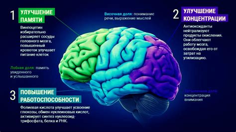 Физическое состояние органов СФР: взаимосвязь между здоровьем и сферами интересов