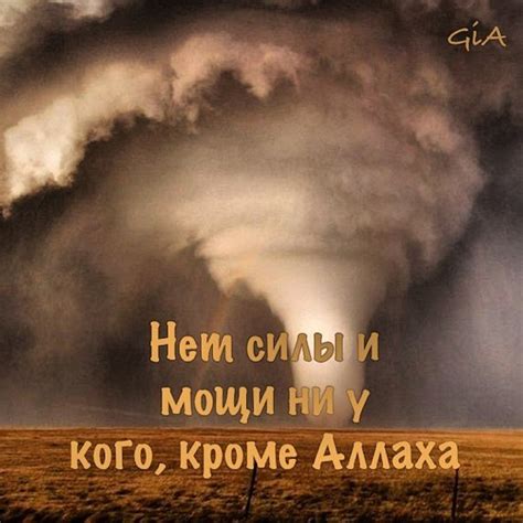 Фура во сновидении как символ силы и мощи