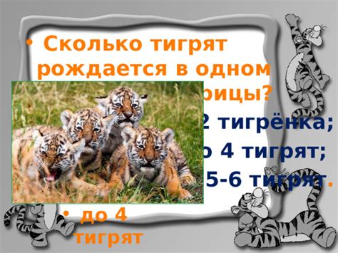 Характеристики тигрового года