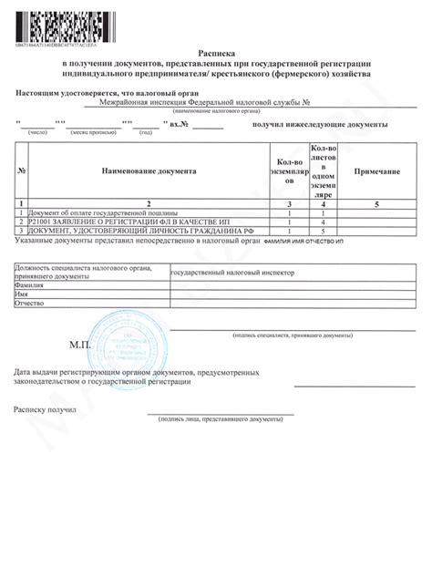 Шаги по подаче документов при регистрации ИП для фрилансеров: на что обратить внимание