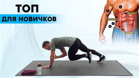 Эффективные упражнения для новичков в фитнесе