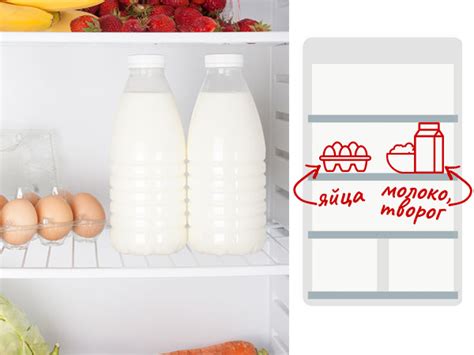  Важное место в заполнении вашего холодильника: молочные продукты