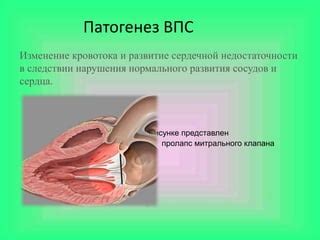  Влияние генетического фактора на развитие заключительной недостаточности сердца 