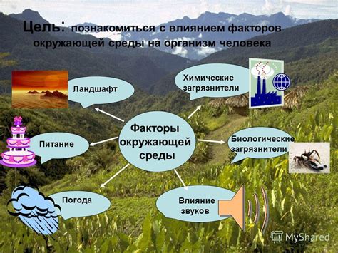  Воздействие окружающей среды на труд и эмоциональное состояние фармацевтов 