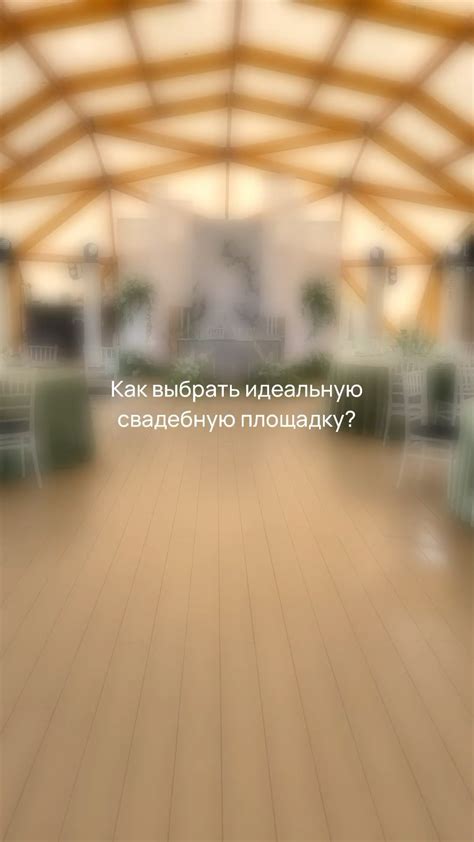  Идеальное расположение для вашего княжика: выбор солнечного места 