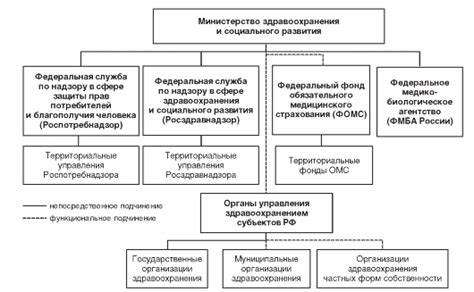  Функции и задачи административных органов в системе здравоохранения 