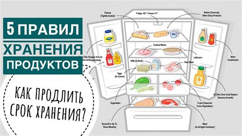 5 неотъемлемых продуктов для наполнения холодильника