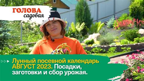 Август: сбор урожая и обработка