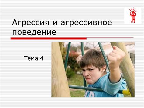 Агрессивное поведение и отвлечение