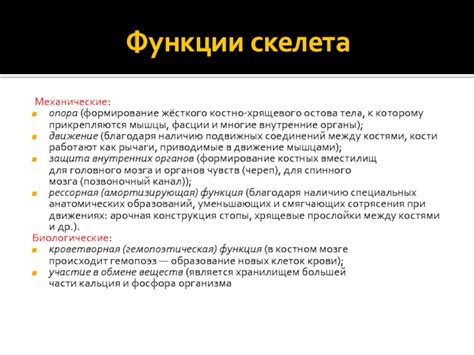 Адаптация организма к отсутствию хрящевого скелета