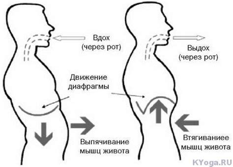 Активация диафрагмального дыхания: