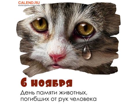 Альтернативные способы почтить память о погибших животных
