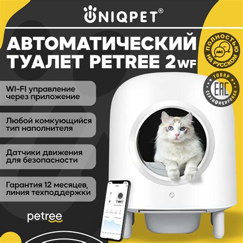 Альтернативы мешкам для кошек