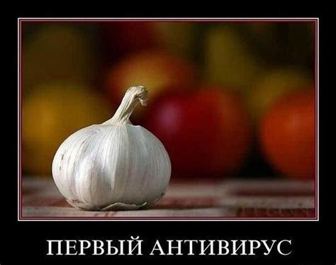 Альтернативы чесноку