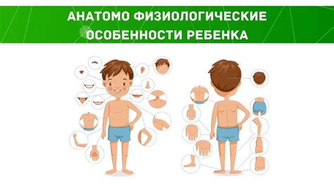 Анатомические особенности мужчин и женщин, влияющие на ростовую разницу