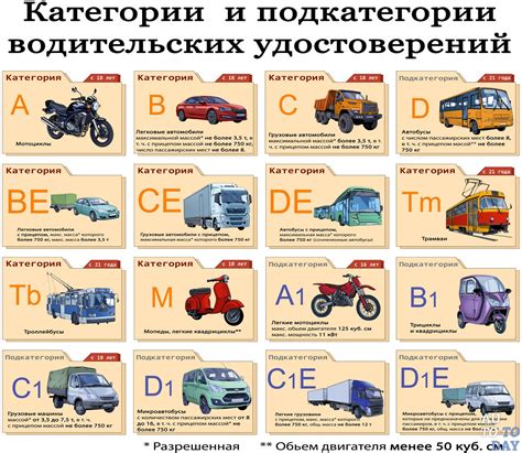 Аргументы "ЗА" и "ПРОТИВ" прав для вождения Динго 125