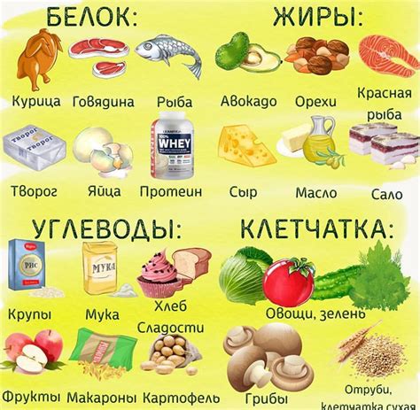 Белок и клетчатка