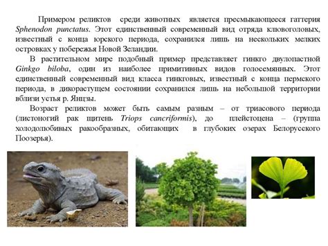 Больше, чем просто вода: разнообразие океанских экосистем
