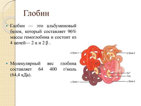 Важное значение гемоглобина для организма