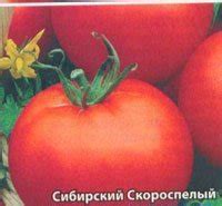 Важность выбора правильного сорта