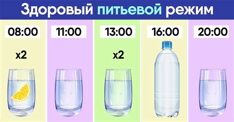 Важность питьевого режима при похудении в период грудного вскармливания