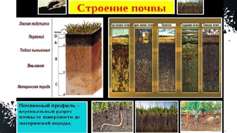 Важность подкладывания земли