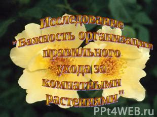 Важность правильного ухода за вымечком