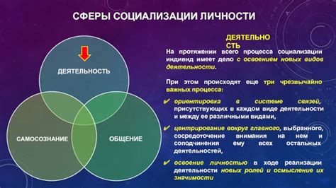 Важность социализации