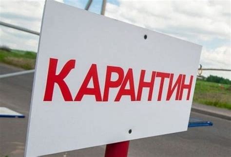 Вводная информация о посадке на карантин в Москве