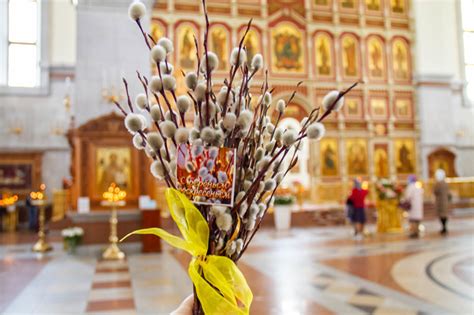 Вербное воскресенье: обычаи и традиции