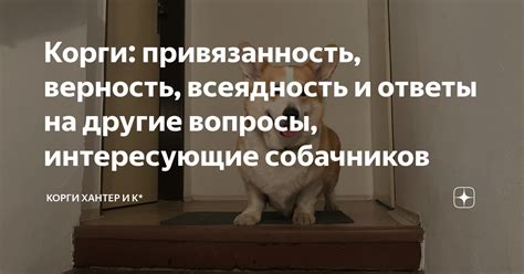 Верность и привязанность